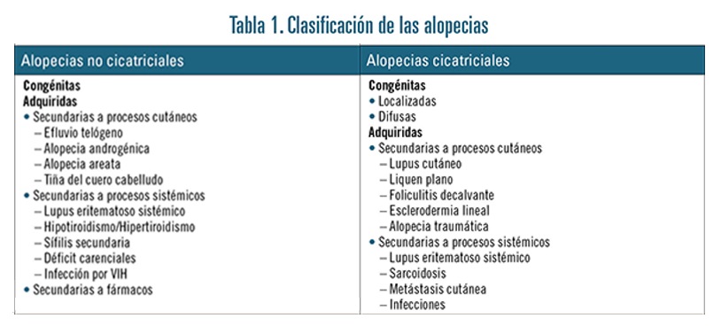 Clasificación de las alopecias en alopecias no cicatriciales y alopecias cicatriciales.